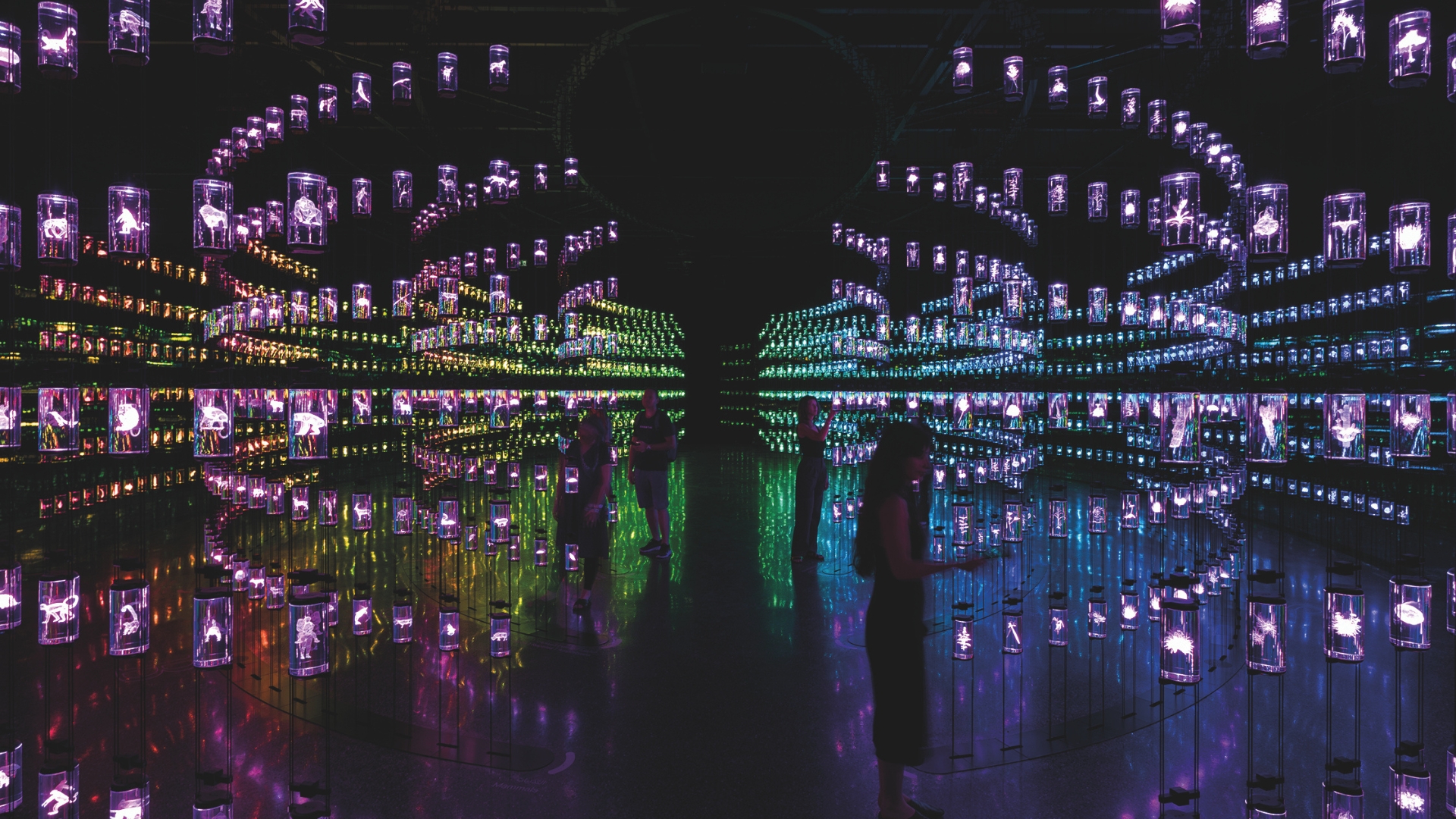 A dark room filled with rows of suspended illuminated lanterns, each containing small glowing figures. The colorful lights reflect off the floor and the walls, creating a mesmerizing atmosphere. People are walking through and interacting with the exhibit.