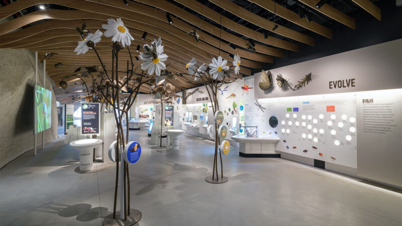 Susan and Peter J. Solomon Family Insectarium - SEGD - Designers of ...